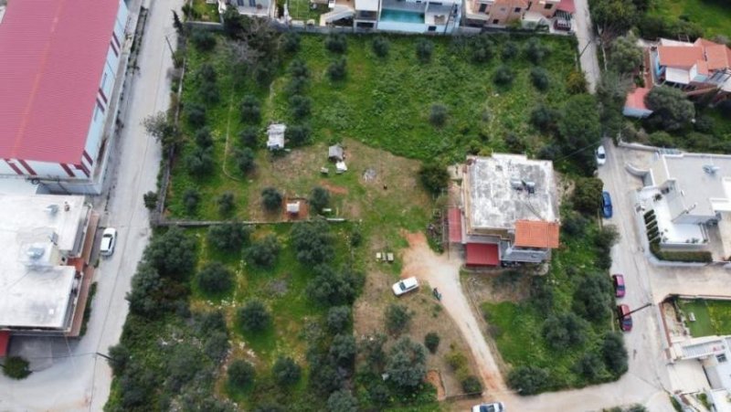 Korakies Kreta, Korakies: Investitionsmöglichkeit zum Verkauf in Korakies Chania Grundstück kaufen